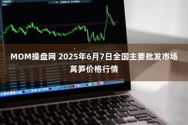 MOM操盘网 2025年6月7日全国主要批发市场莴笋价格行情