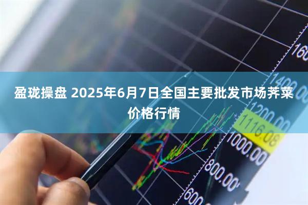 盈珑操盘 2025年6月7日全国主要批发市场荠菜价格行情