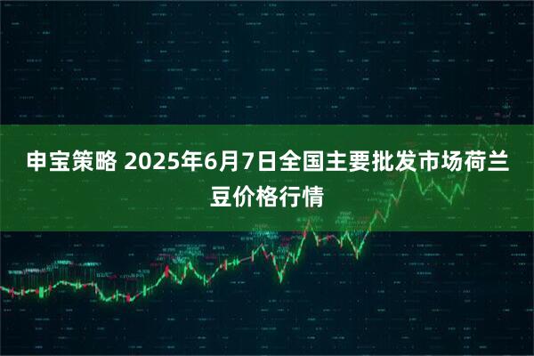 申宝策略 2025年6月7日全国主要批发市场荷兰豆价格行情