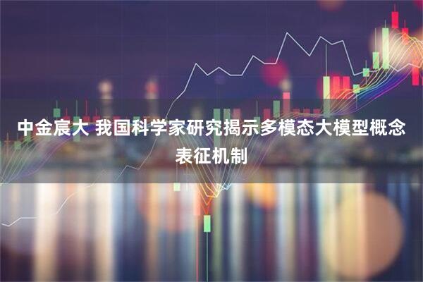 中金宸大 我国科学家研究揭示多模态大模型概念表征机制