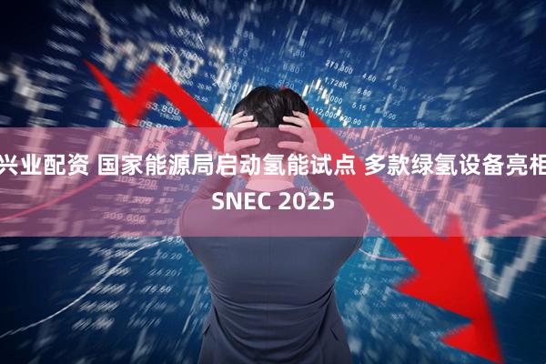 兴业配资 国家能源局启动氢能试点 多款绿氢设备亮相SNEC 2025