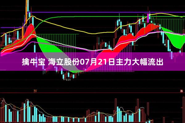 擒牛宝 海立股份07月21日主力大幅流出