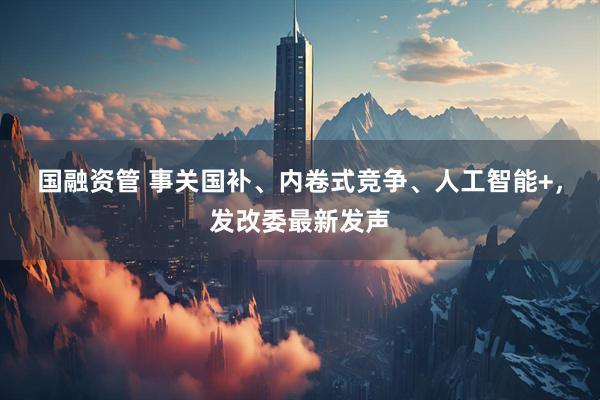 国融资管 事关国补、内卷式竞争、人工智能+，发改委最新发声