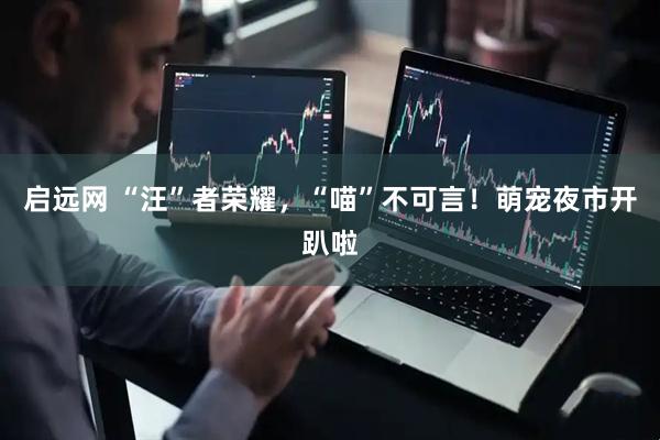 启远网 “汪”者荣耀，“喵”不可言！萌宠夜市开趴啦