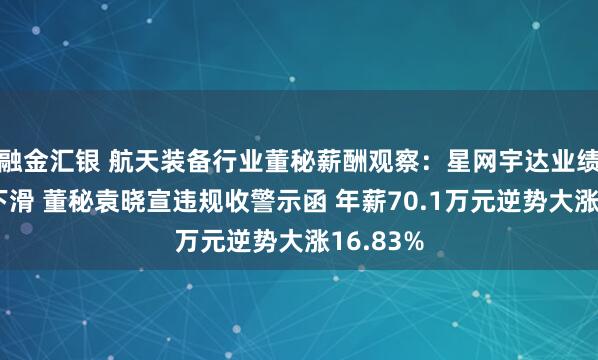 融金汇银 航天装备行业董秘薪酬观察：星网宇达业绩断崖式下滑 董秘袁晓宣违规收警示函 年薪70.1万元逆势大涨16.83%