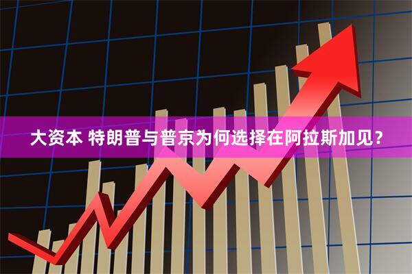 大资本 特朗普与普京为何选择在阿拉斯加见？