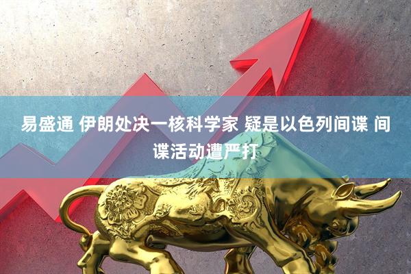 易盛通 伊朗处决一核科学家 疑是以色列间谍 间谍活动遭严打