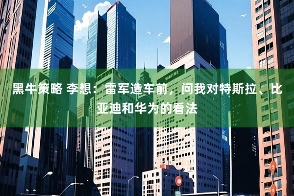 黑牛策略 李想：雷军造车前，问我对特斯拉、比亚迪和华为的看法
