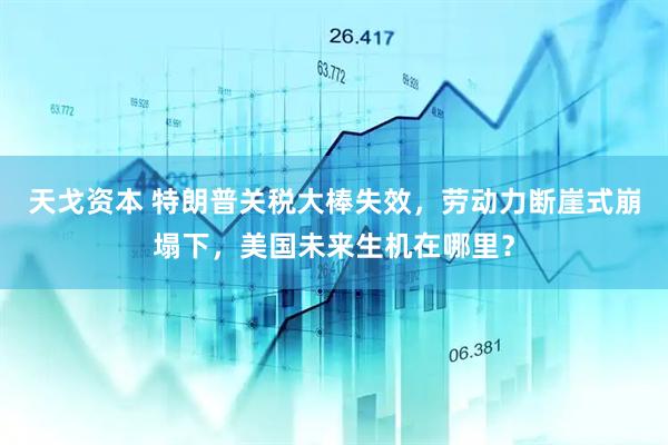 天戈资本 特朗普关税大棒失效，劳动力断崖式崩塌下，美国未来生机在哪里？
