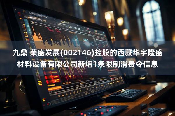 九鼎 荣盛发展(002146)控股的西藏华宇隆盛材料设备有限公司新增1条限制消费令信息